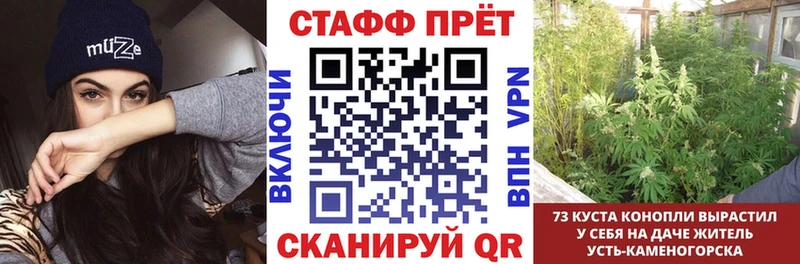 Где найти наркотики Дубовка Вейп ТГК  ГЕРОИН  Меф мяу мяу  Alpha-PVP  ГАШ 
