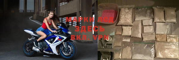 крисы Верея