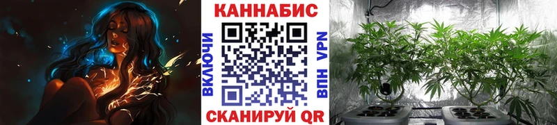Канабис White Widow  Дубовка 